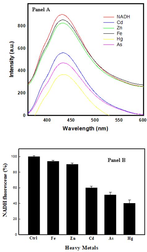 Development of Selenium Nanoparticle Based Agriculture Sensor for Heavy ...
