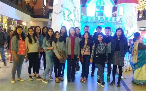 Maple Tutorial 的图像结果