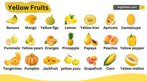 50 Fruits That Start With B – Complete English List