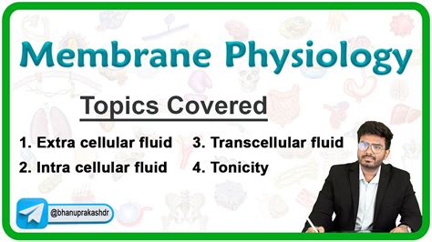 Image result for Transcellular Fluid Examples