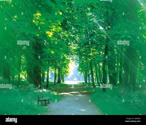 Path 的图像结果