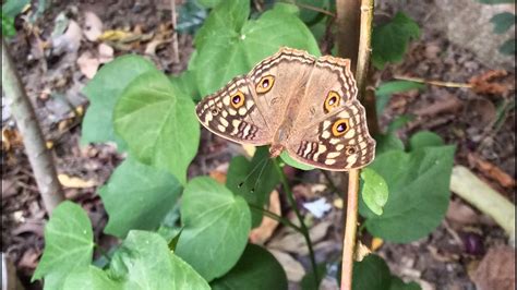 Image result for Camera Pathshala