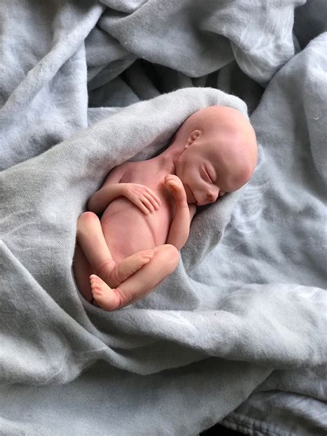 Made to Order, 16/17 Week Gestation Fetus, Memorial/honor Sculpture ...