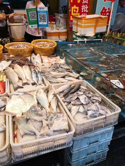 来厦门八市阿明海鲜，吃到糖醋话梅鱼、养殖巴浪鱼，新鲜又实在！_腾讯新闻