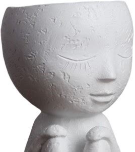 BNF Flower Pot Resin Succulent Head Face Art Vase Planter Knee White ...