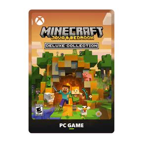 Image result for Minecraft Java Edition Gift Card Example