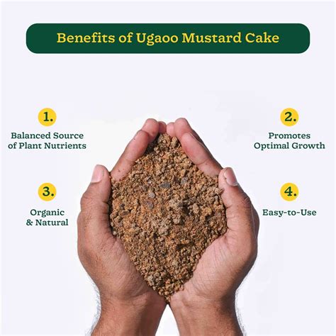 Buy Mustard Cake Powder: Natural Plant Growth Booster – Ugaoo