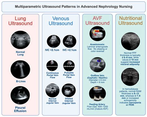 Point-of-Care Ultrasonography in Advanced Nephrology Nursing Practice ...