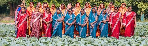 Home | Odisha Livelihoods Mission