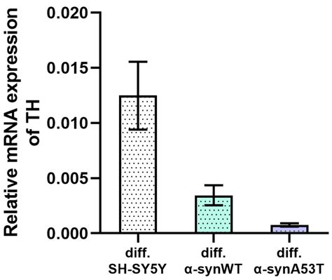 Modulation of TRPV1 and TRPA1 Channels Function by Sea Anemones ...