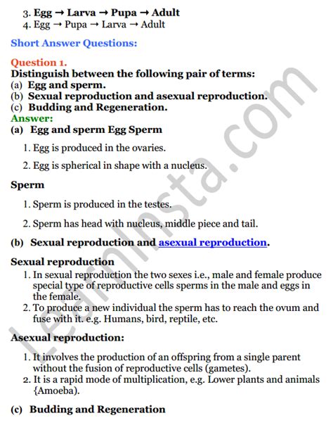 Image result for Reproduction in Humans Class 8 ICSE