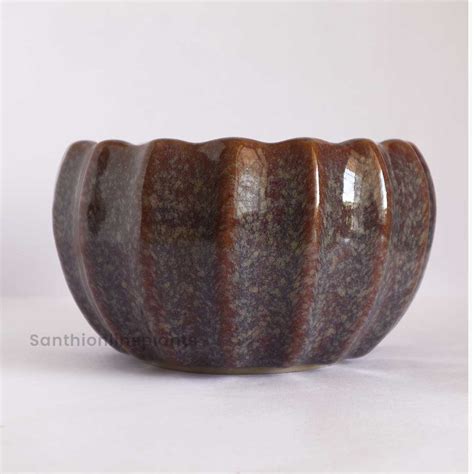 Lily Purple Ceramic Pot(Medium) – Santhi Online Plants