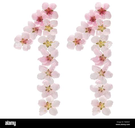 Image result for 11 Plus Atom Learning Creative Writing