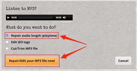 Image result for MP3 Corrupt File Repair Software