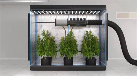 Grow Tent Air Circulation at James Goldsbrough blog