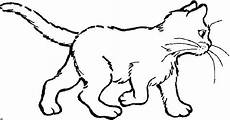 malvorlage baby katzen katzen malvorlagen malvorlagen1001 de malvorlage baby katzen katzen malvorlagen malvorlagen1001 de