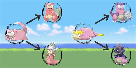 Image result for Pokemon Evolution Line