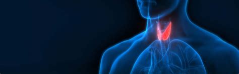 Endocrinology - Jind Lab