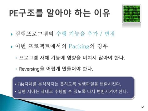 Portable Executable Structure 的图像结果