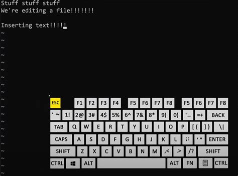 Image result for MacOS Linux Commands