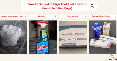 Image result for Tutorial Project CodeIgniter