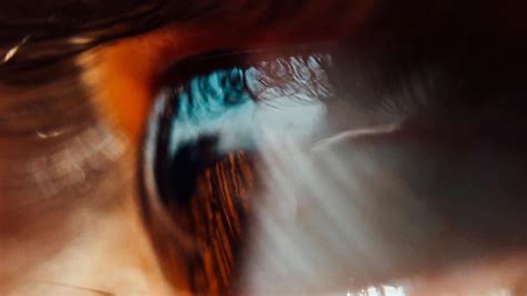 Wallpaper eye, macro, pupil, eyelashes hd, picture, image