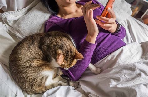 How Do Cats Choose Their Favorite People?
