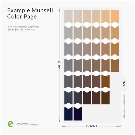 Munsell Soil Color Chart Online