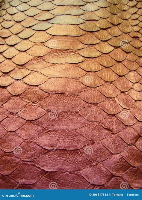 Image result for Red Python Snake Image