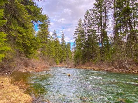 129 Trout Creek Rd, Trout Creek, MT 59874 - See Est. Value, Schools & More