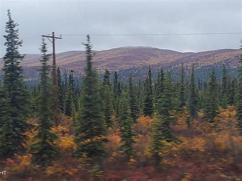 Mi 168 Glenn Hwy, Glennallen, AK 99588 | MLS #25-5799 | Zillow