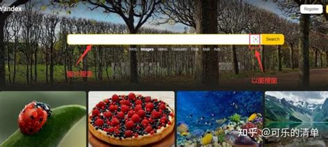 百度搜图 的图像结果