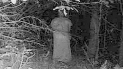 Specter on trail camera