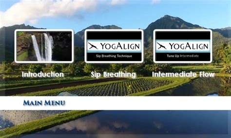 Image result for Encoding Authoring Menu Design