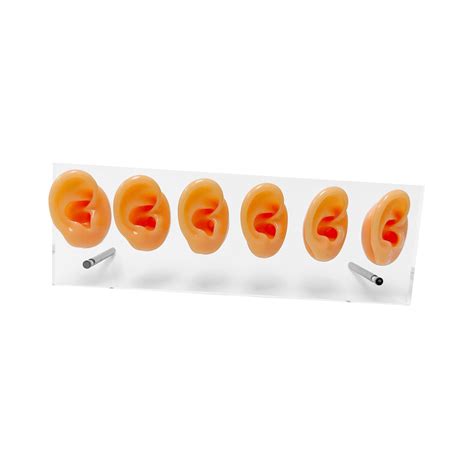 Silicone Ear Models Shelf Stable Pierce Tool for Novice Simulation Ear ...