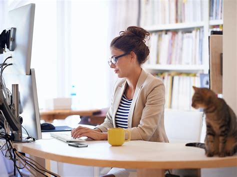 Image result for Outlook Email Web App