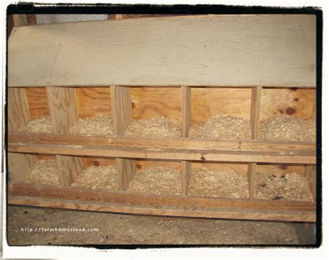 Chicken Laying Boxes Tractor Supply at Cory Tack blog