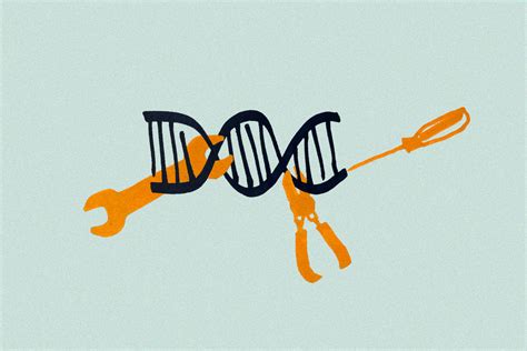 Image result for Define Modification