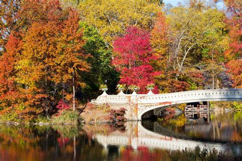 Fall Foliage in NYC | The BEST Places to enjoy Fall in 2026