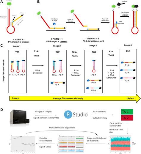 Image result for Digital PCR Tutorial