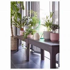 vasi per fiori ikea ikea vasi e piante vasi per fiori ikea ikea vasi e piante