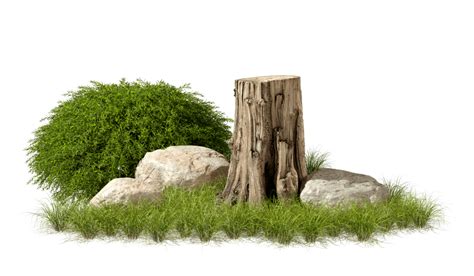 Environment Transparent Background 的图像结果