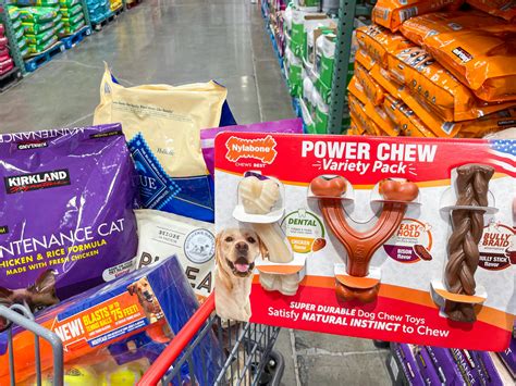 Can I Bring Dog To Costco