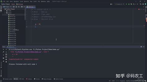 Python语言 的图像结果