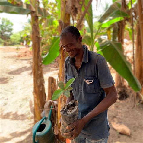 Plant Trees For Africa 🌳