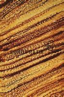 Europratik 10302 Lucento Series Patterned Decorative Wall Panel/Panels ...