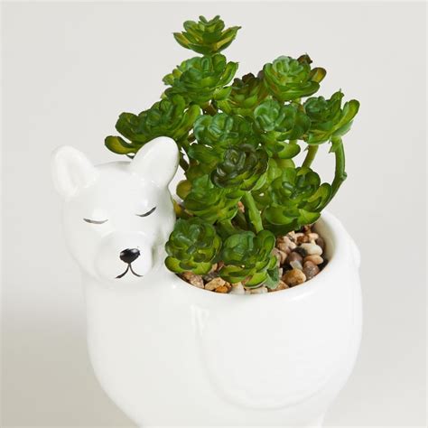 Buy Garnet Elsa Artificial Succulent in Llama Planter from Home Centre ...