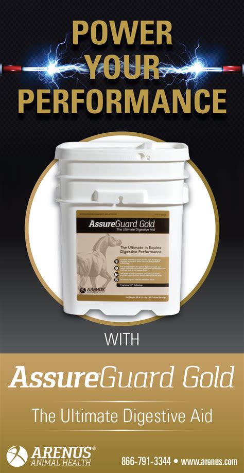 Image result for USDF Training