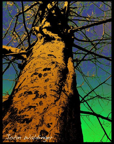 Falling From a Tree Remix 的图像结果