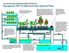 83 ideias de Fazenda Vertical | fazenda vertical, aquaponia, vertical farm